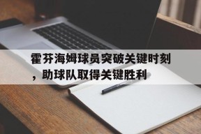 金年会公司-包含霍芬海姆球员突破关键时刻，助球队取得关键胜利的词条