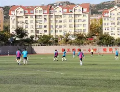 高水平的足球比赛充满着悬念和挑战(足球高水平联赛)