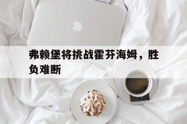 弗赖堡将挑战霍芬海姆，胜负难断的简单介绍